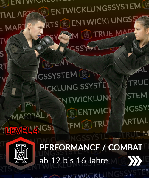 Kurs Info Kinder / Jugend Kampfsport - Performance & Combat Training