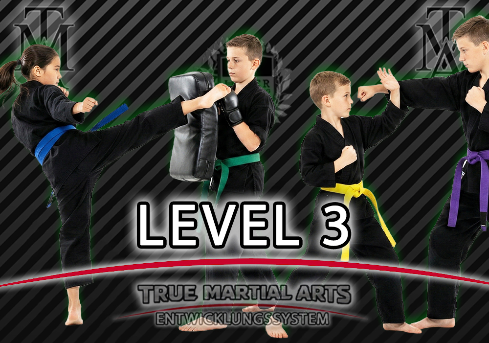 Kinder Kampfsport Level 3