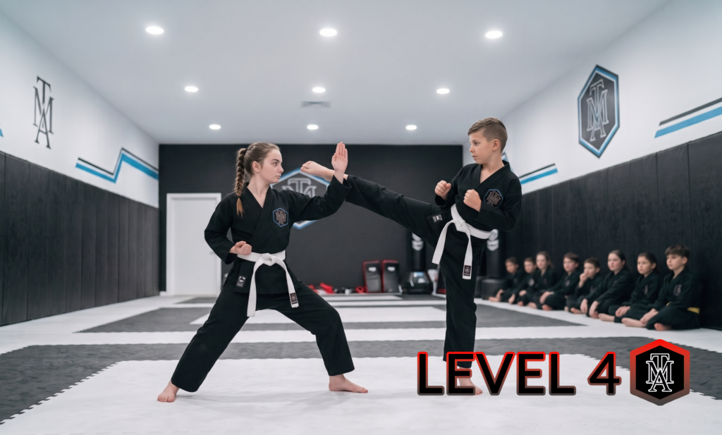 TMA LEVEL 4 - Kampfsport Kurs Itzehoe